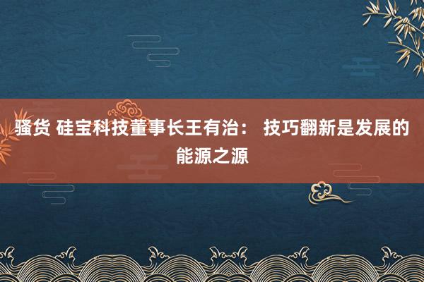 骚货 硅宝科技董事长王有治： 技巧翻新是发展的能源之源