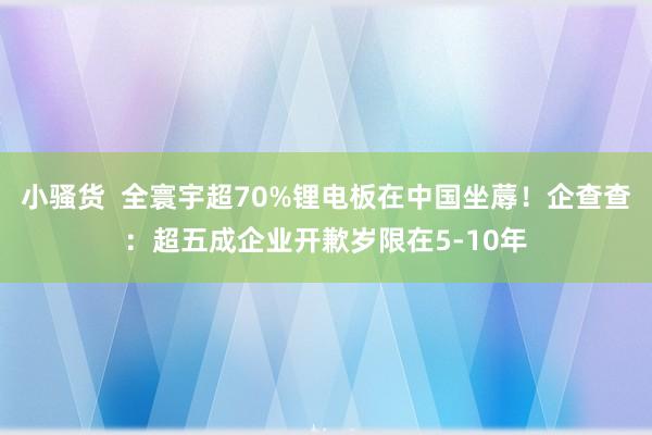 小骚货  全寰宇超70%锂电板在中国坐蓐！企查查：超五成企业开歉岁限在5-10年