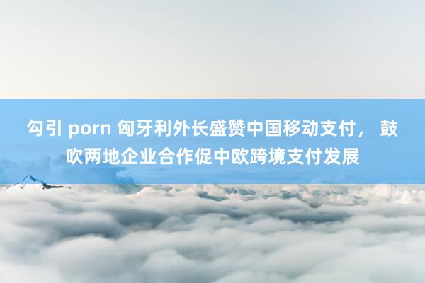 勾引 porn 匈牙利外长盛赞中国移动支付， 鼓吹两地企业合作促中欧跨境支付发展