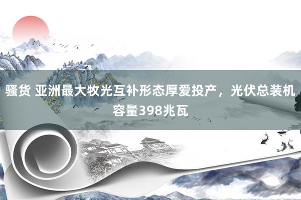 骚货 亚洲最大牧光互补形态厚爱投产，光伏总装机容量398兆瓦