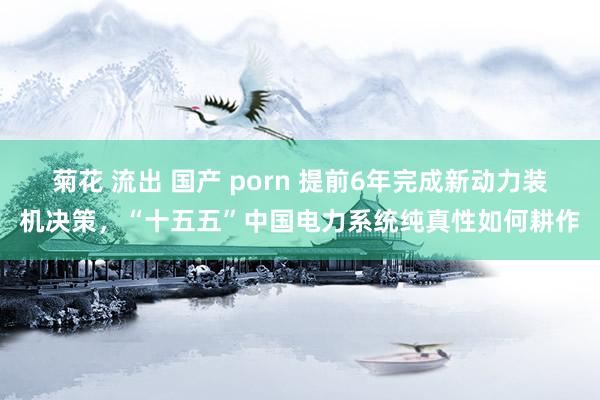 菊花 流出 国产 porn 提前6年完成新动力装机决策，“十五五”中国电力系统纯真性如何耕作