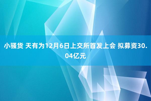 小骚货 天有为12月6日上交所首发上会 拟募资30.04亿元