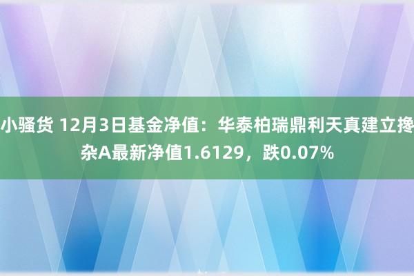 小骚货 12月3日基金净值：华泰柏瑞鼎利天真建立搀杂A最新净值1.6129，跌0.07%