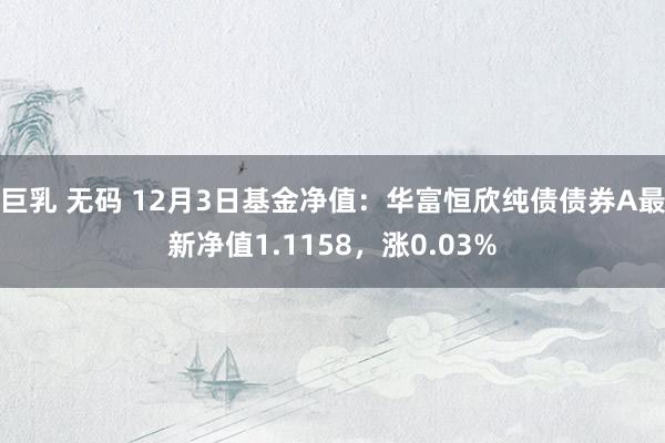 巨乳 无码 12月3日基金净值：华富恒欣纯债债券A最新净值1.1158，涨0.03%