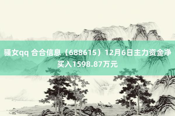 骚女qq 合合信息（688615）12月6日主力资金净买入1598.87万元