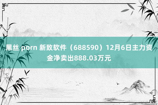 黑丝 porn 新致软件（688590）12月6日主力资金净卖出888.03万元