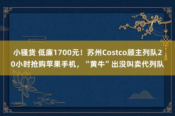 小骚货 低廉1700元！苏州Costco顾主列队20小时抢购苹果手机，“黄牛”出没叫卖代列队