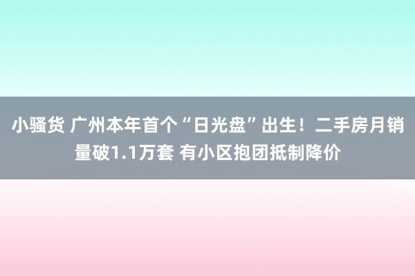 小骚货 广州本年首个“日光盘”出生！二手房月销量破1.1万套 有小区抱团抵制降价