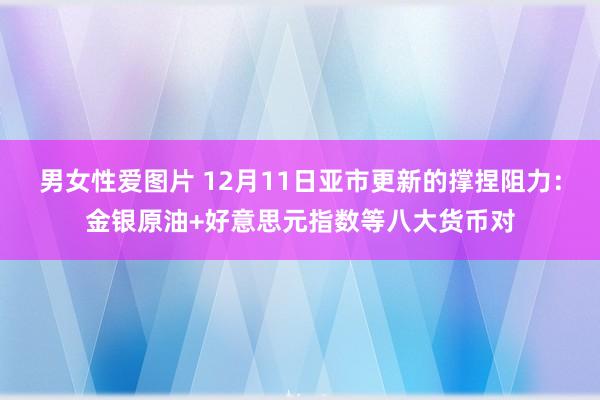 男女性爱图片 12月11日亚市更新的撑捏阻力：金银原油+好意思元指数等八大货币对