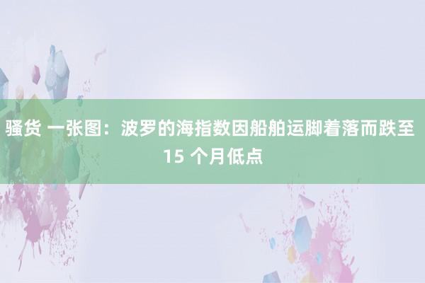 骚货 一张图：波罗的海指数因船舶运脚着落而跌至 15 个月低点