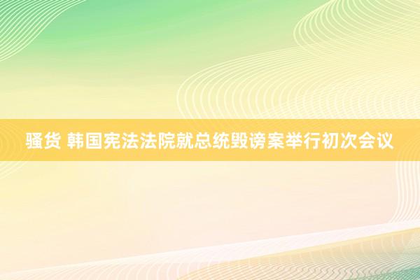 骚货 韩国宪法法院就总统毁谤案举行初次会议