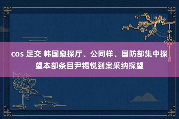 cos 足交 韩国窥探厅、公同样、国防部集中探望本部条目尹锡悦到案采纳探望