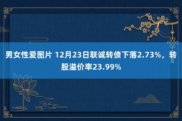 男女性爱图片 12月23日联诚转债下落2.73%，转股溢价率23.99%