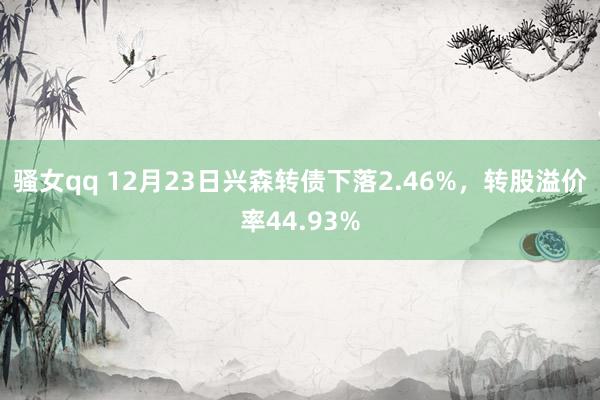 骚女qq 12月23日兴森转债下落2.46%，转股溢价率44.93%