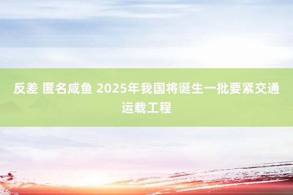 反差 匿名咸鱼 2025年我国将诞生一批要紧交通运载工程