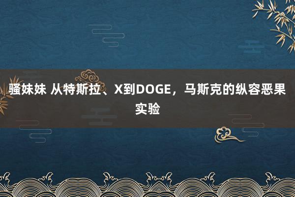 骚妹妹 从特斯拉、X到DOGE，马斯克的纵容恶果实验