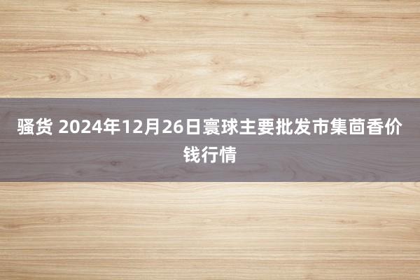 骚货 2024年12月26日寰球主要批发市集茴香价钱行情