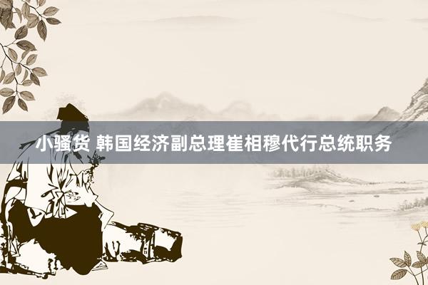 小骚货 韩国经济副总理崔相穆代行总统职务