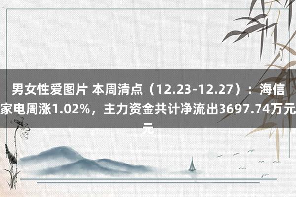 男女性爱图片 本周清点（12.23-12.27）：海信家电周涨1.02%，主力资金共计净流出3697.74万元