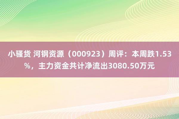 小骚货 河钢资源（000923）周评：本周跌1.53%，主力资金共计净流出3080.50万元