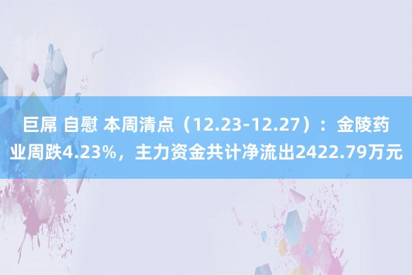 巨屌 自慰 本周清点（12.23-12.27）：金陵药业周跌4.23%，主力资金共计净流出2422.79万元