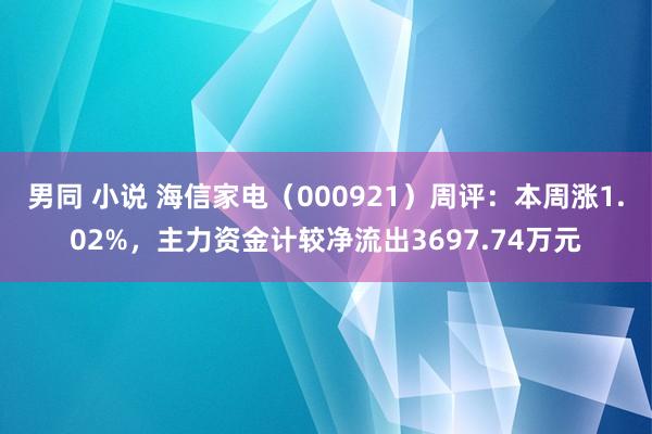 男同 小说 海信家电（000921）周评：本周涨1.02%，主力资金计较净流出3697.74万元