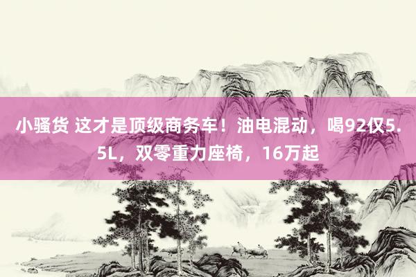 小骚货 这才是顶级商务车！油电混动，喝92仅5.5L，双零重力座椅，16万起