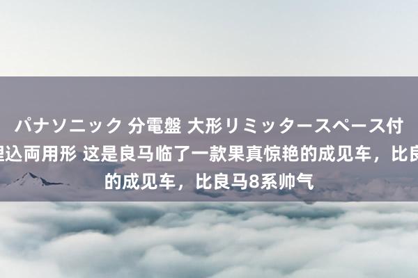 パナソニック 分電盤 大形リミッタースペース付 露出・半埋込両用形 这是良马临了一款果真惊艳的成见车，比良马8系帅气