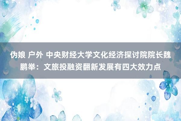 伪娘 户外 中央财经大学文化经济探讨院院长魏鹏举：文旅投融资翻新发展有四大效力点