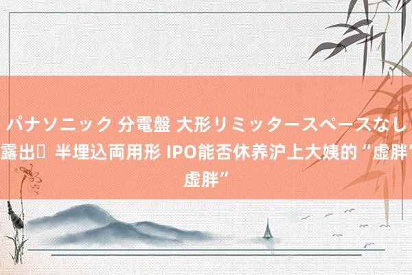 パナソニック 分電盤 大形リミッタースペースなし 露出・半埋込両用形 IPO能否休养沪上大姨的“虚胖”