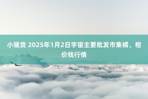 小骚货 2025年1月2日宇宙主要批发市集橘、柑价钱行情