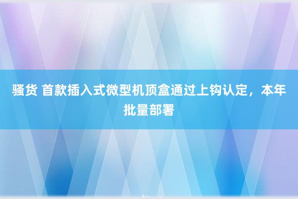 骚货 首款插入式微型机顶盒通过上钩认定，本年批量部署