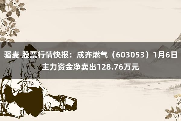 骚麦 股票行情快报：成齐燃气（603053）1月6日主力资金净卖出128.76万元