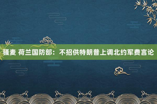 骚麦 荷兰国防部：不招供特朗普上调北约军费言论