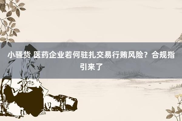 小骚货 医药企业若何驻扎交易行贿风险？合规指引来了