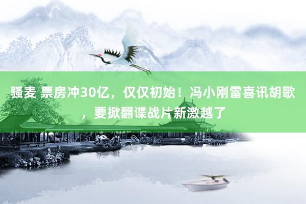 骚麦 票房冲30亿，仅仅初始！冯小刚雷喜讯胡歌，要掀翻谍战片新激越了