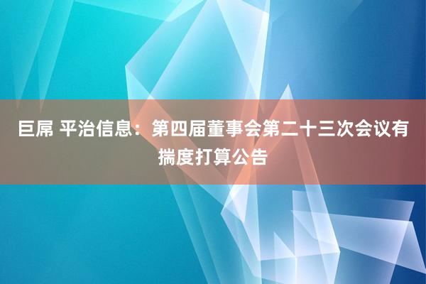 巨屌 平治信息：第四届董事会第二十三次会议有揣度打算公告