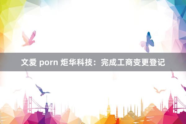 文爱 porn 炬华科技：完成工商变更登记