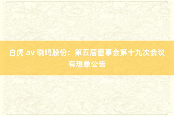 白虎 av 晓鸣股份：第五届董事会第十九次会议有想象公告